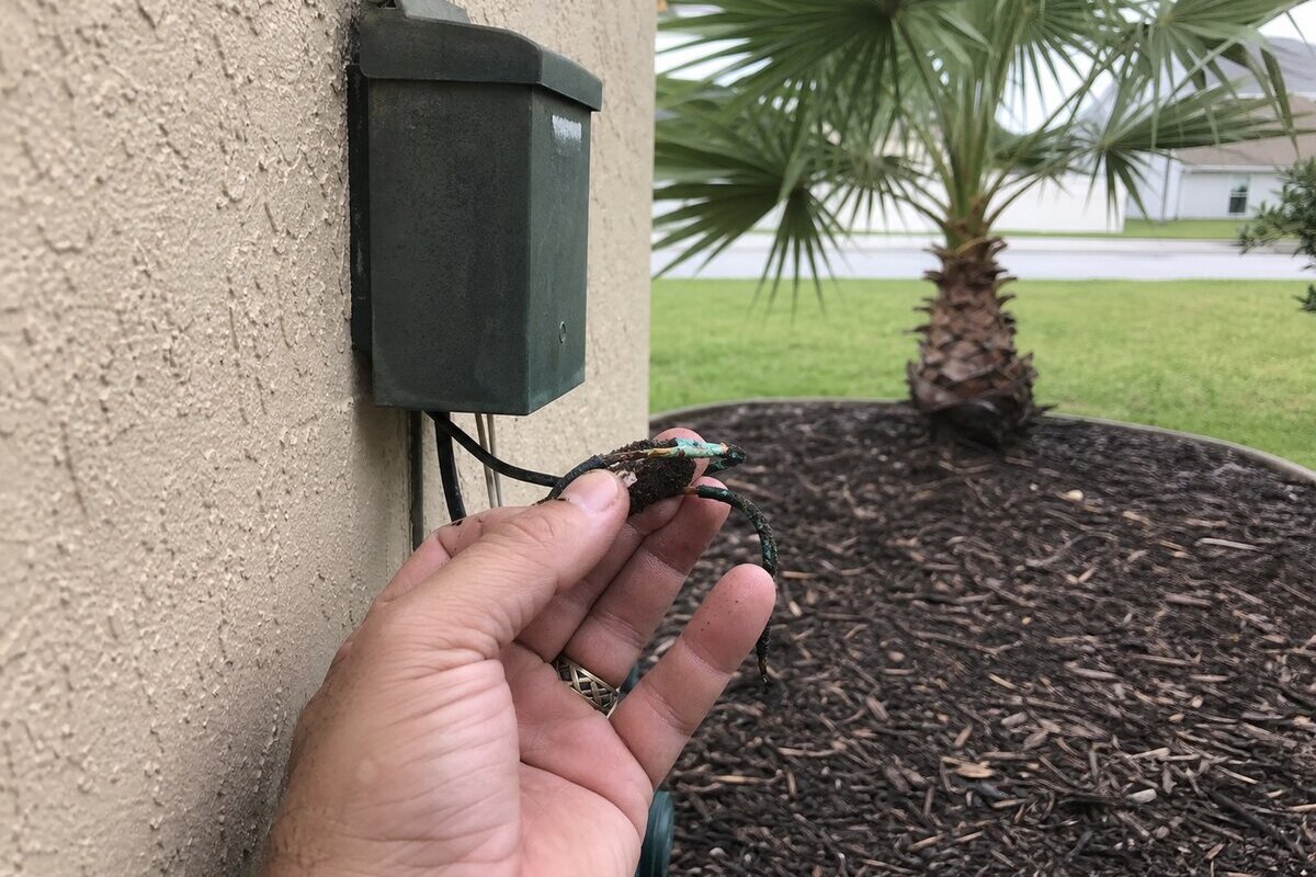 Corroded low-voltage landscape lighting connection near a Palm Bay transformer